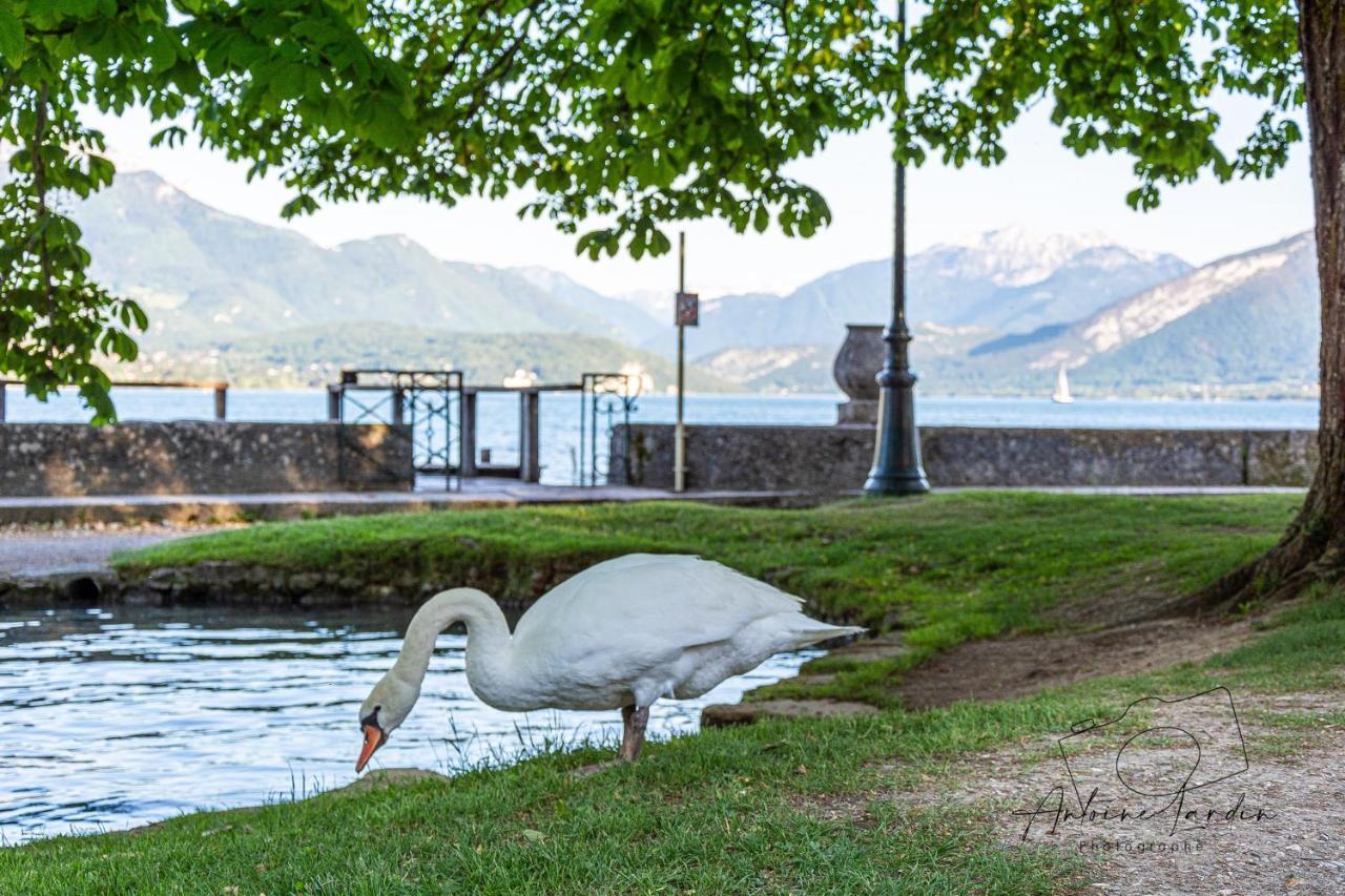 L'Amedee - Appt A 500M Du Lac อานซี ภายนอก รูปภาพ